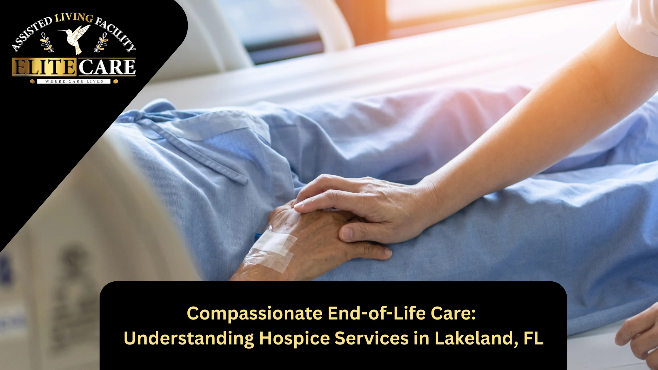 Compassionate End-of-Life Care: Understanding Hospice Services in Lakeland, FL