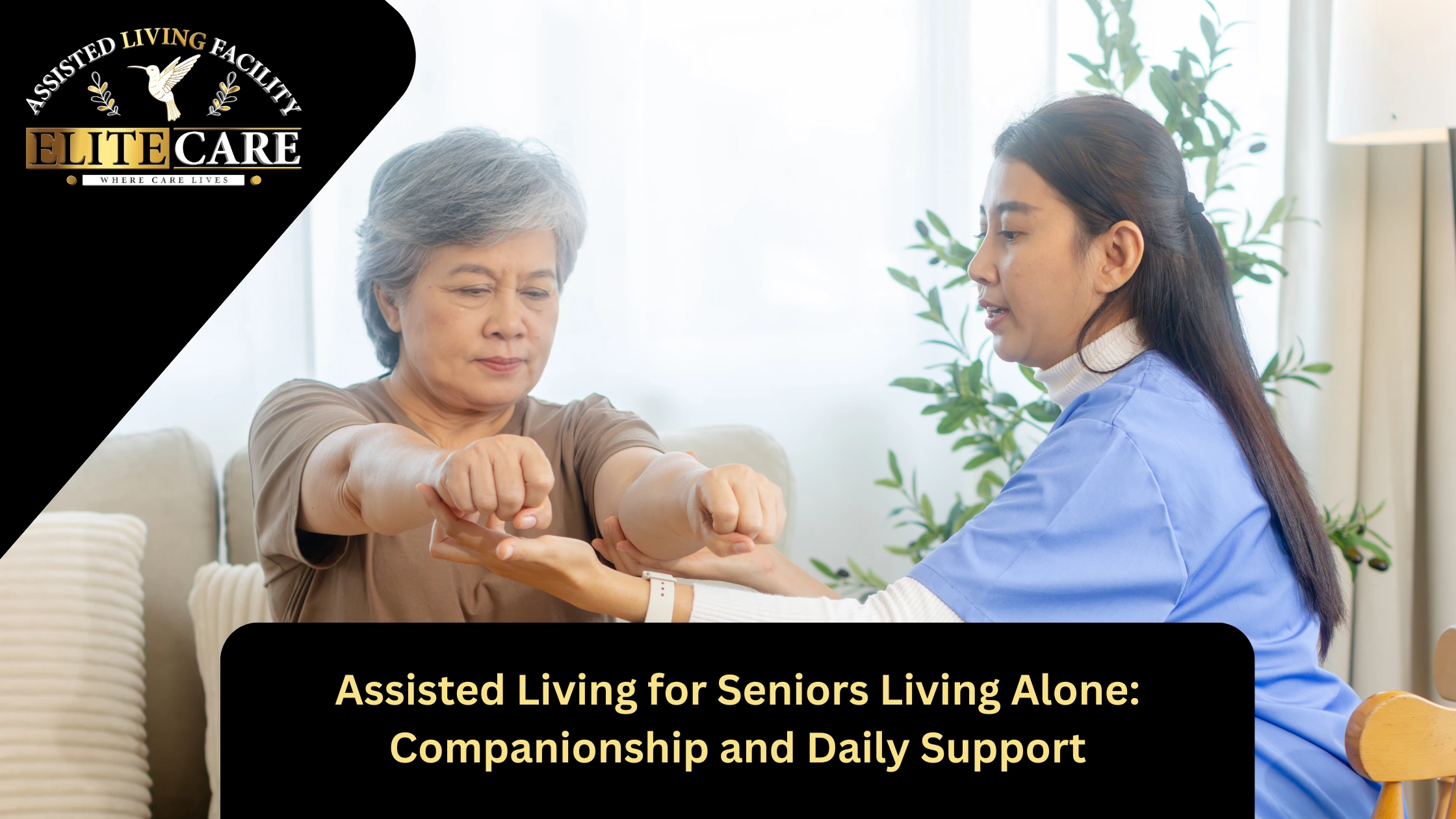 Assisted Living for Seniors Living Alone: Safe Support